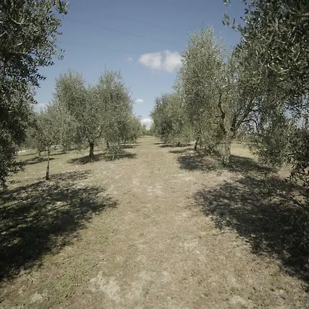 La Dolce Vita Villa *